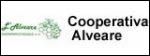 Cooperativa Alveare