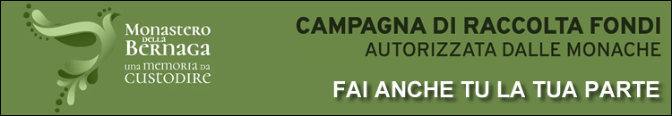 banner bbernagadesktop-74270.jpg