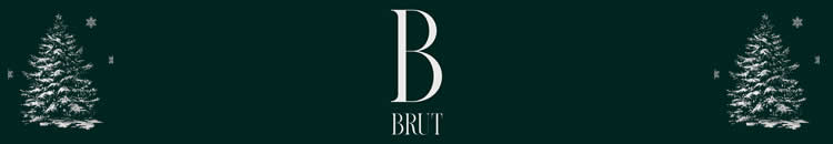 banner bbrut-34953.jpg