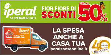 banner bpromo08-70094.gif