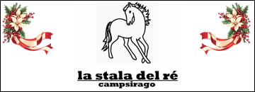 banner bstalaok-8539.jpg