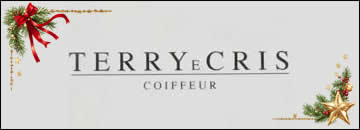 banner bterrycrisok-66934.jpg