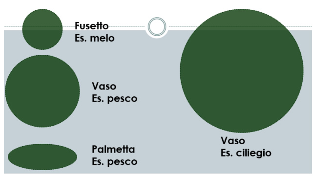 MastroPuntataSessanta1.jpg (31 KB)