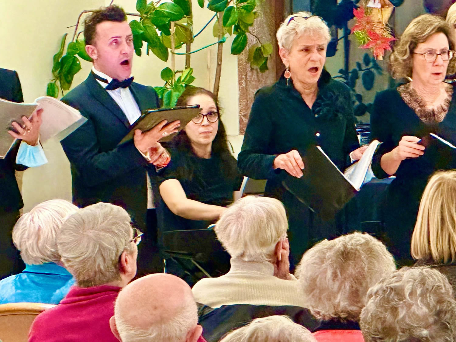 MerateConcertiCedri3.jpg (256 KB)