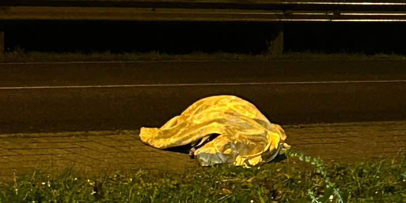 MerateTassoInvestito.jpg (73 KB)