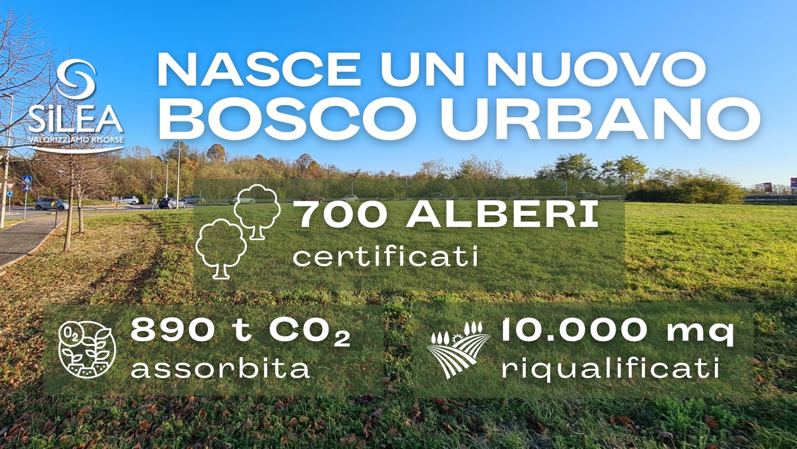 OsnagoSileaBosco3.jpg (648 KB)