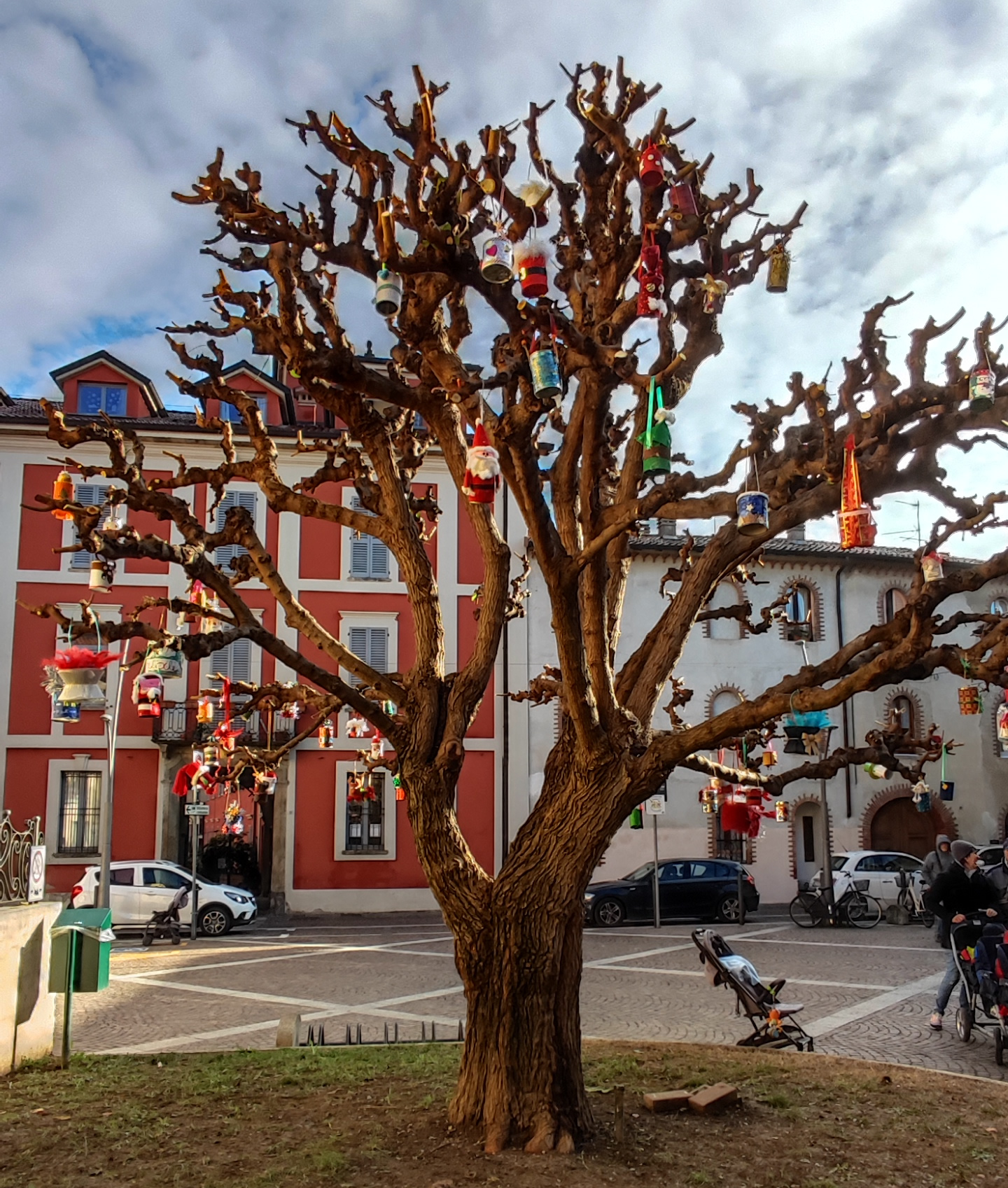PadernoAsiloAlbero1.jpg (1009 KB)