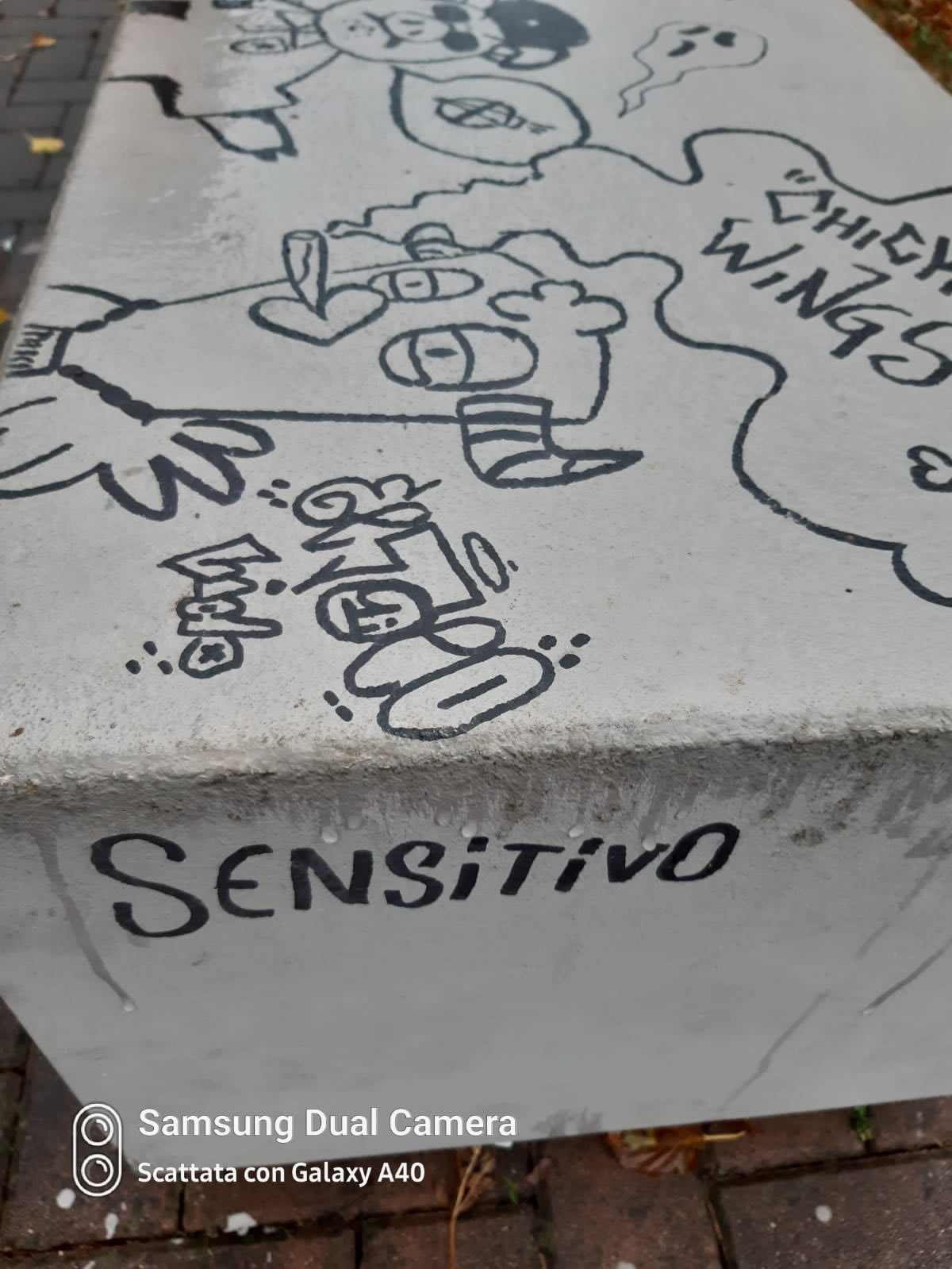 RobbiateAutoVandalizzata2.jpg (181 KB)