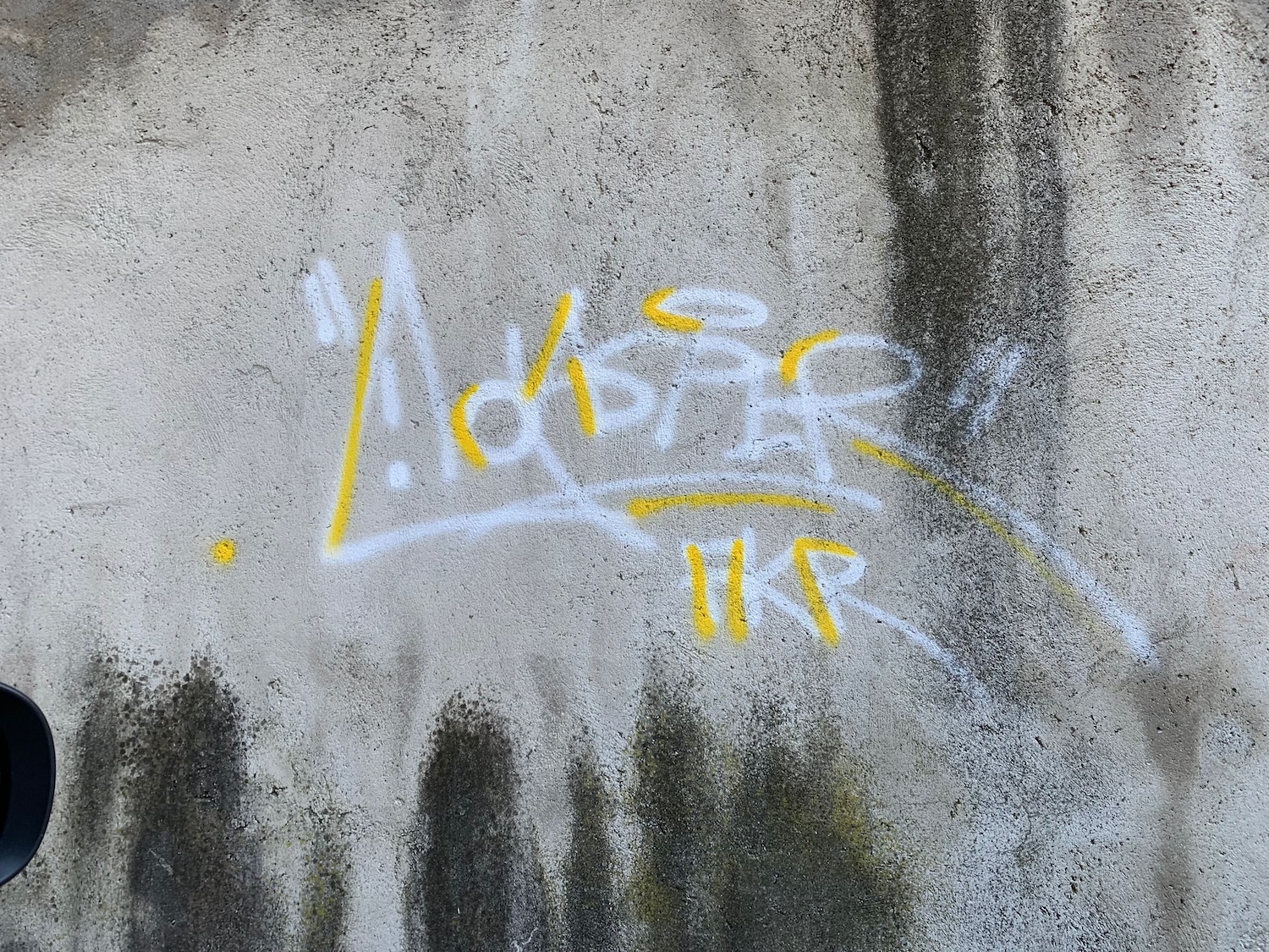 graffiti_e_macchina_abbandonata_robbiate__6_.jpeg (1.07 MB)