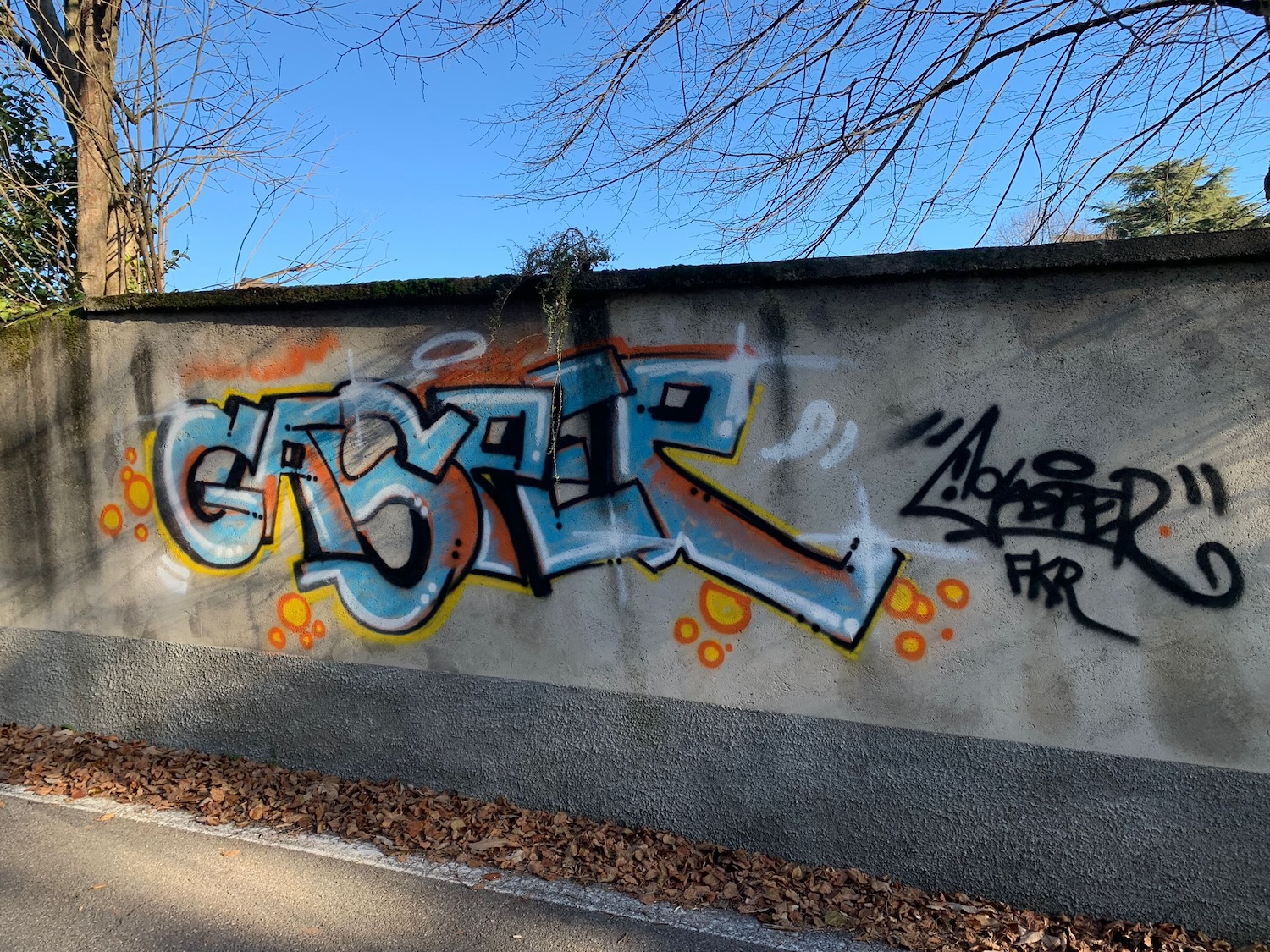 graffiti_e_macchina_abbandonata_robbiate__7_.jpeg (971 KB)