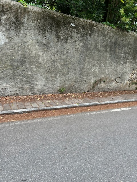 ImbersagoLeteraLetore__7_.jpeg (169 KB)
