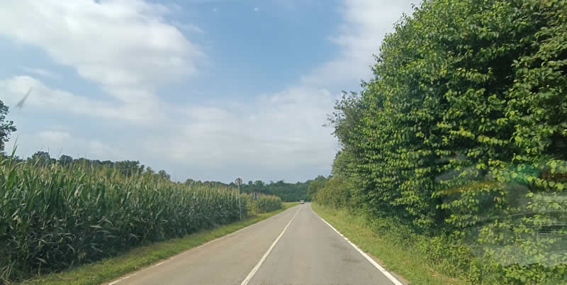 MtvCorseAuto1.jpg (45 KB)