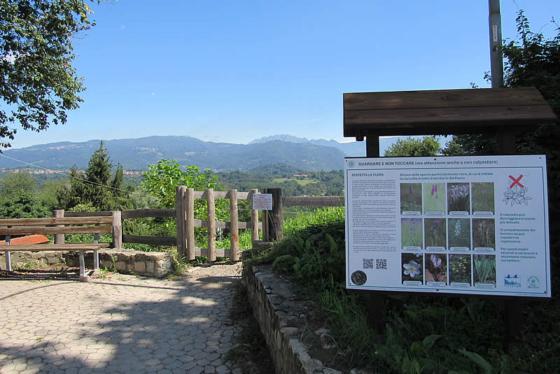 parco_curone_montevecchia_03.jpg (93 KB)