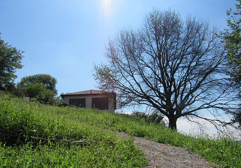 parco_curone_montevecchia_05.jpg (159 KB)