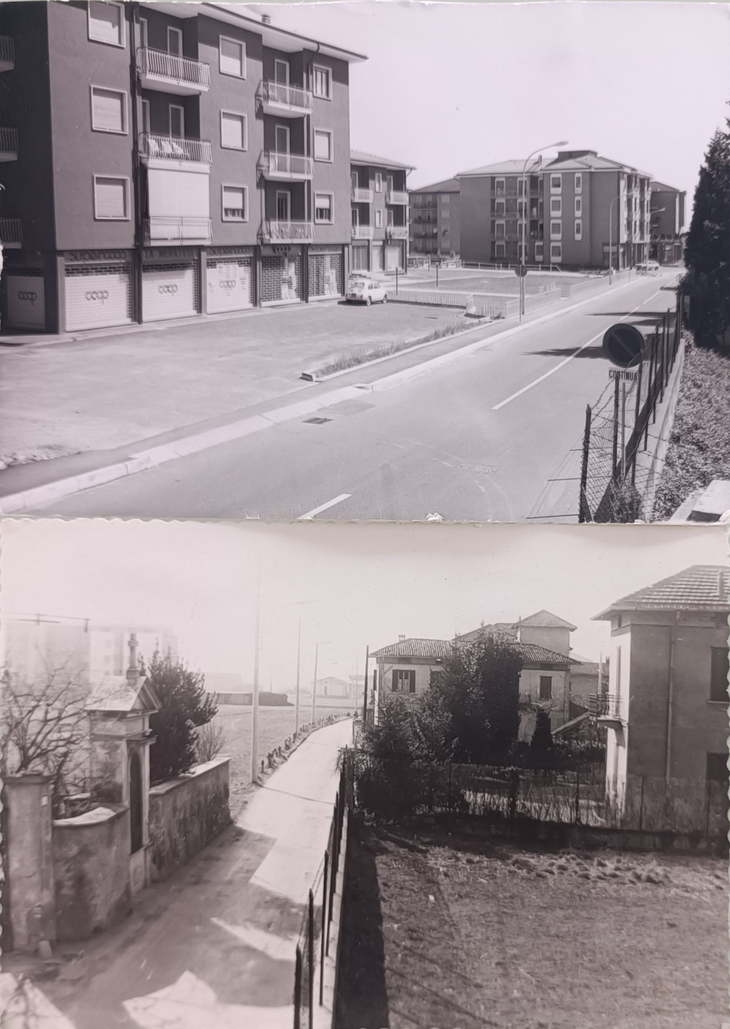 1962-1973_Rondinella_-493.jpg (353 KB)