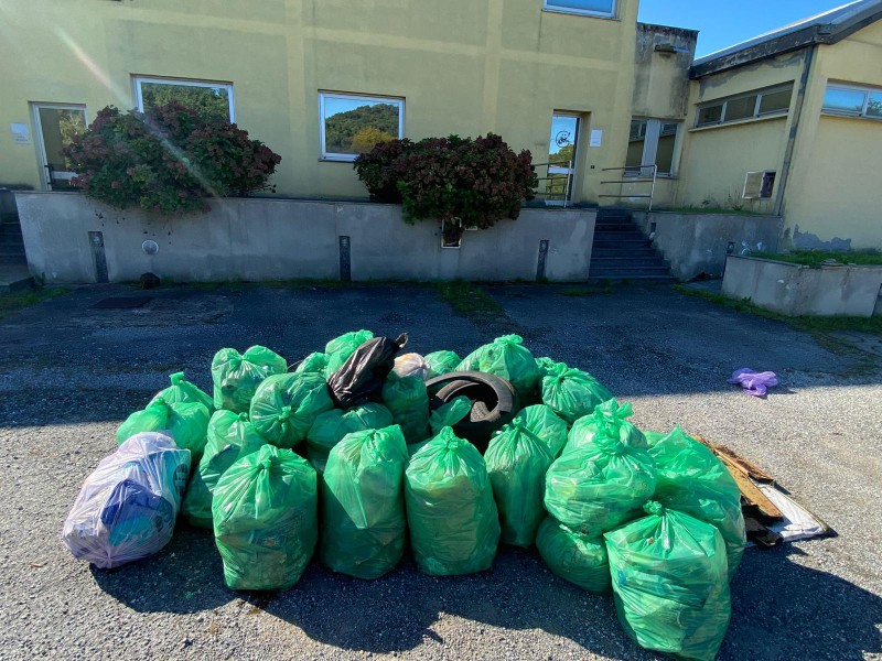 LVB_Giornata_Ecologica_3.jpg (156 KB)