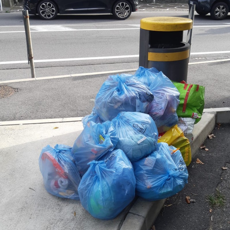 LVB_rifiuti_abbandonati.jpg (173 KB)