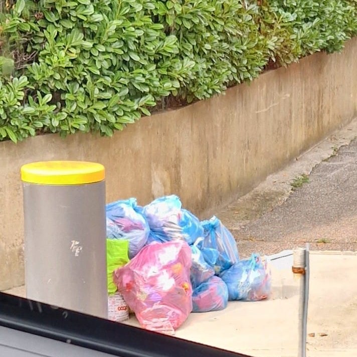 LVB_rifiuti_abbandonati_1.jpg (127 KB)