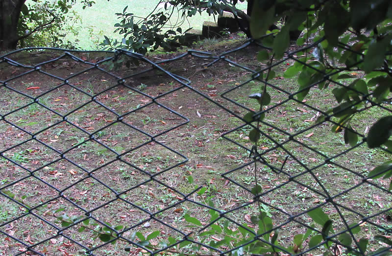 tentativo_furto_montevecchia_02.jpg (144 KB)