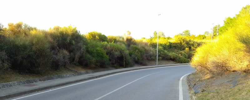 PianteOsnagoStazione.jpg (27 KB)