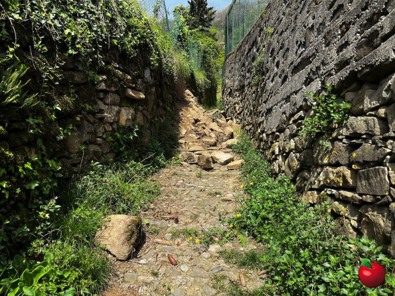 FranaMonastirolo2.jpg (227 KB)