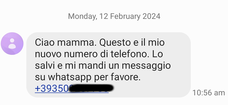MessaggioTruffa.jpg (72 KB)