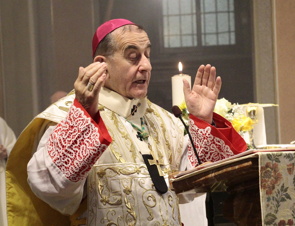 ImvbersagoMarioDelpini.jpg (230 KB)
