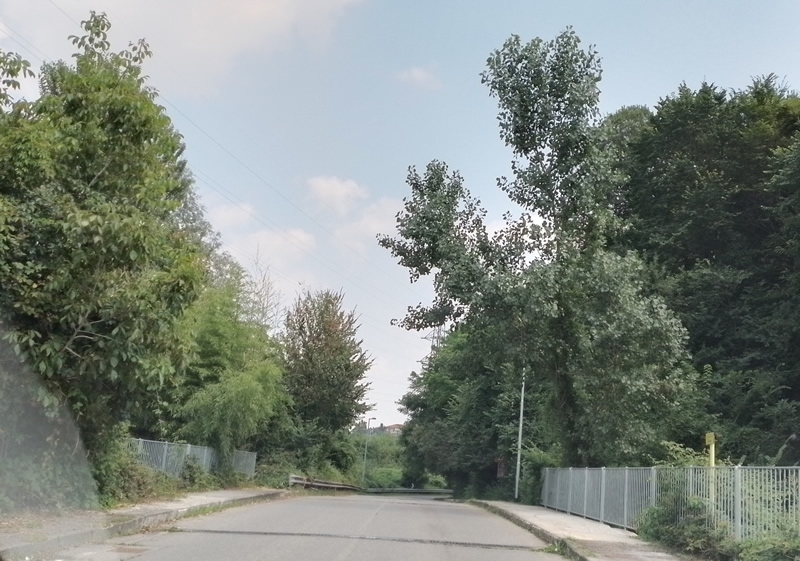 PiantaPricolanteStrada.jpg (184 KB)