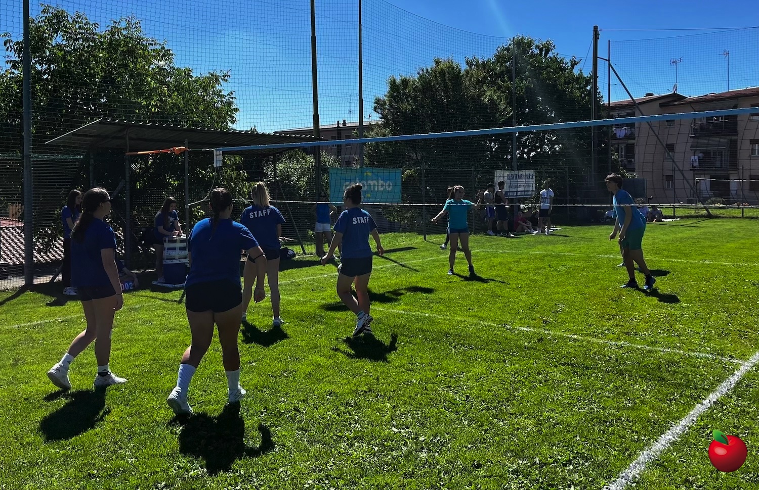 SMHVolleyAdulti10.jpg (845 KB)