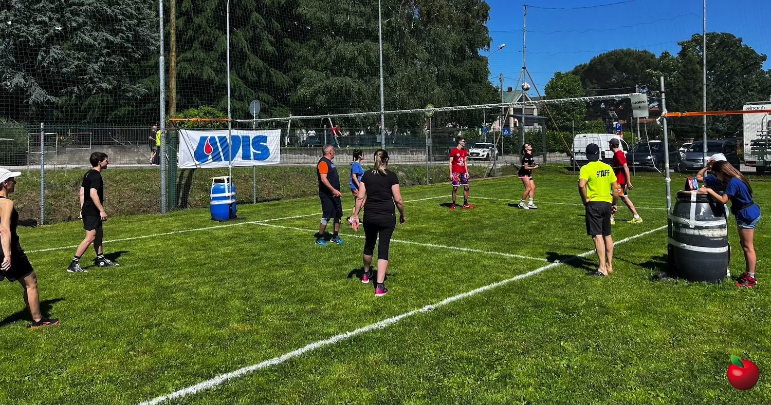 SMHVolleyAdulti4.jpg (738 KB)