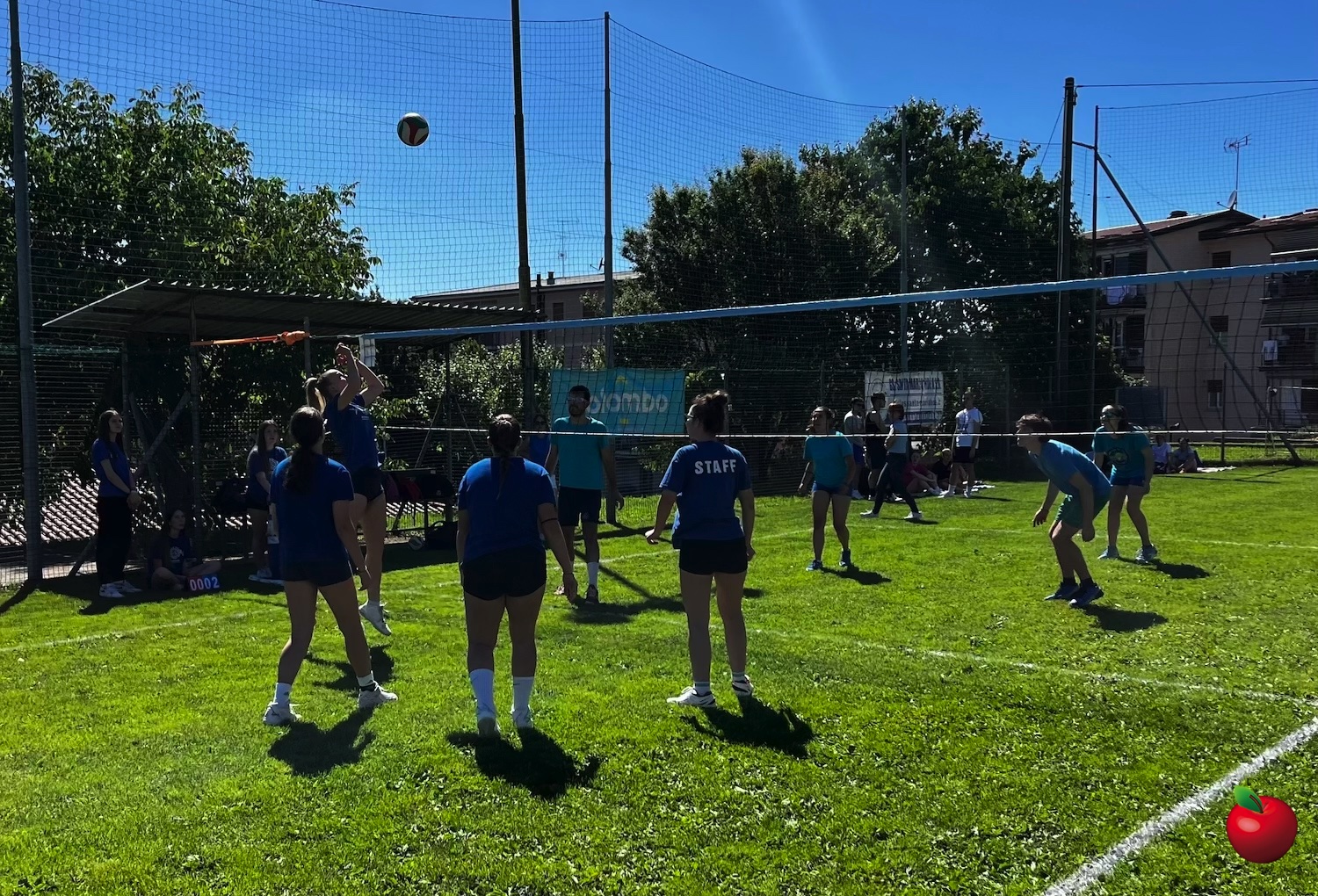 SMHVolleyAdulti9.jpg (803 KB)