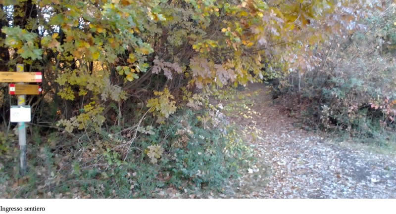 riqualificazione_sentiero_galeazzino_montevecchia_02.jpg (75 KB)