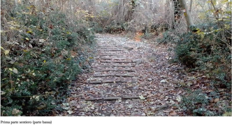 riqualificazione_sentiero_galeazzino_montevecchia_03.jpg (88 KB)