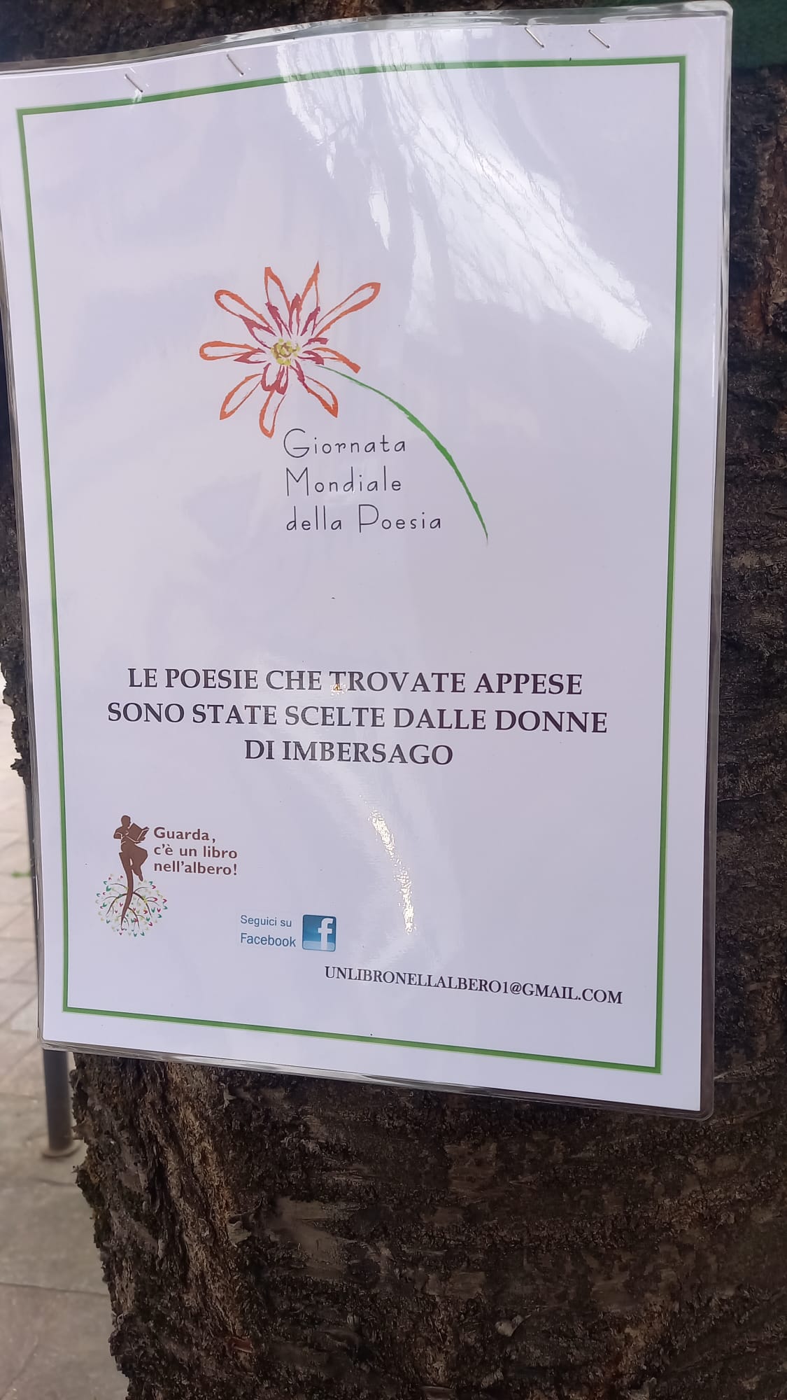 mostra_giornata_poesia__1_.jpeg (207 KB)