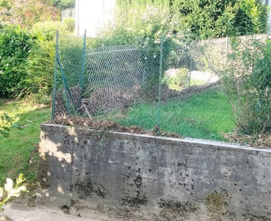 InterventoTorrenteMolgora13.jpg (261 KB)