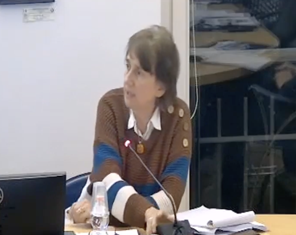 OlgiateVariazione3.png (801 KB)