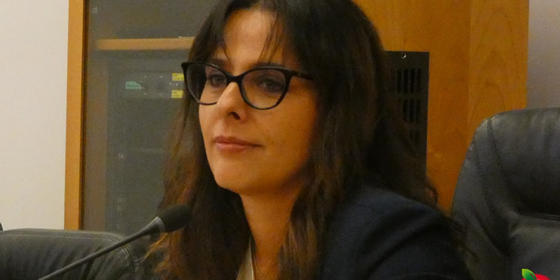 AlessHoPRIMA.jpg (75 KB)