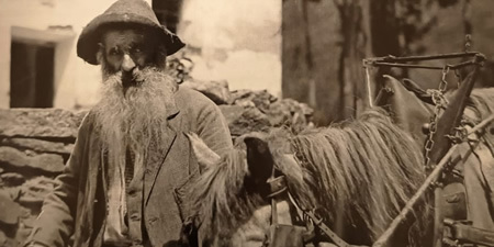 ColicoContadinaMostraPRIMA.jpg (41 KB)