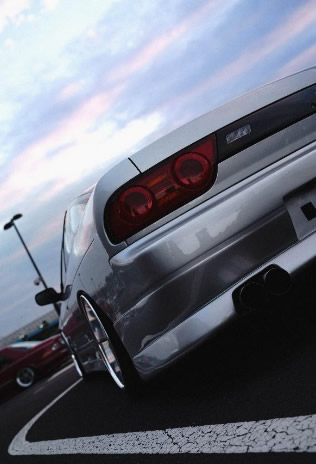 CornateMostraVelo2.jpg (33 KB)