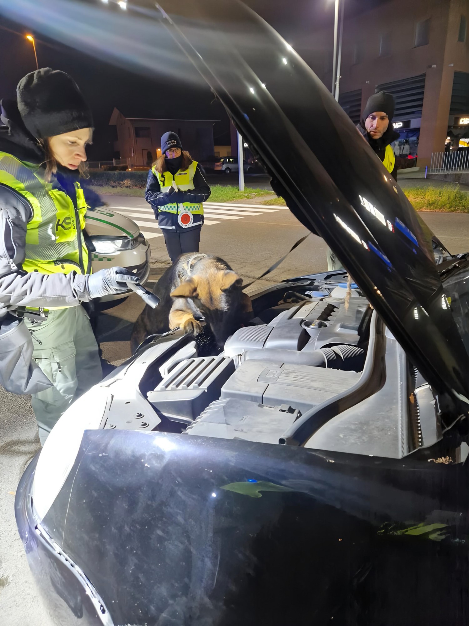 LVBOperazioneSmart__4_.jpeg (450 KB)