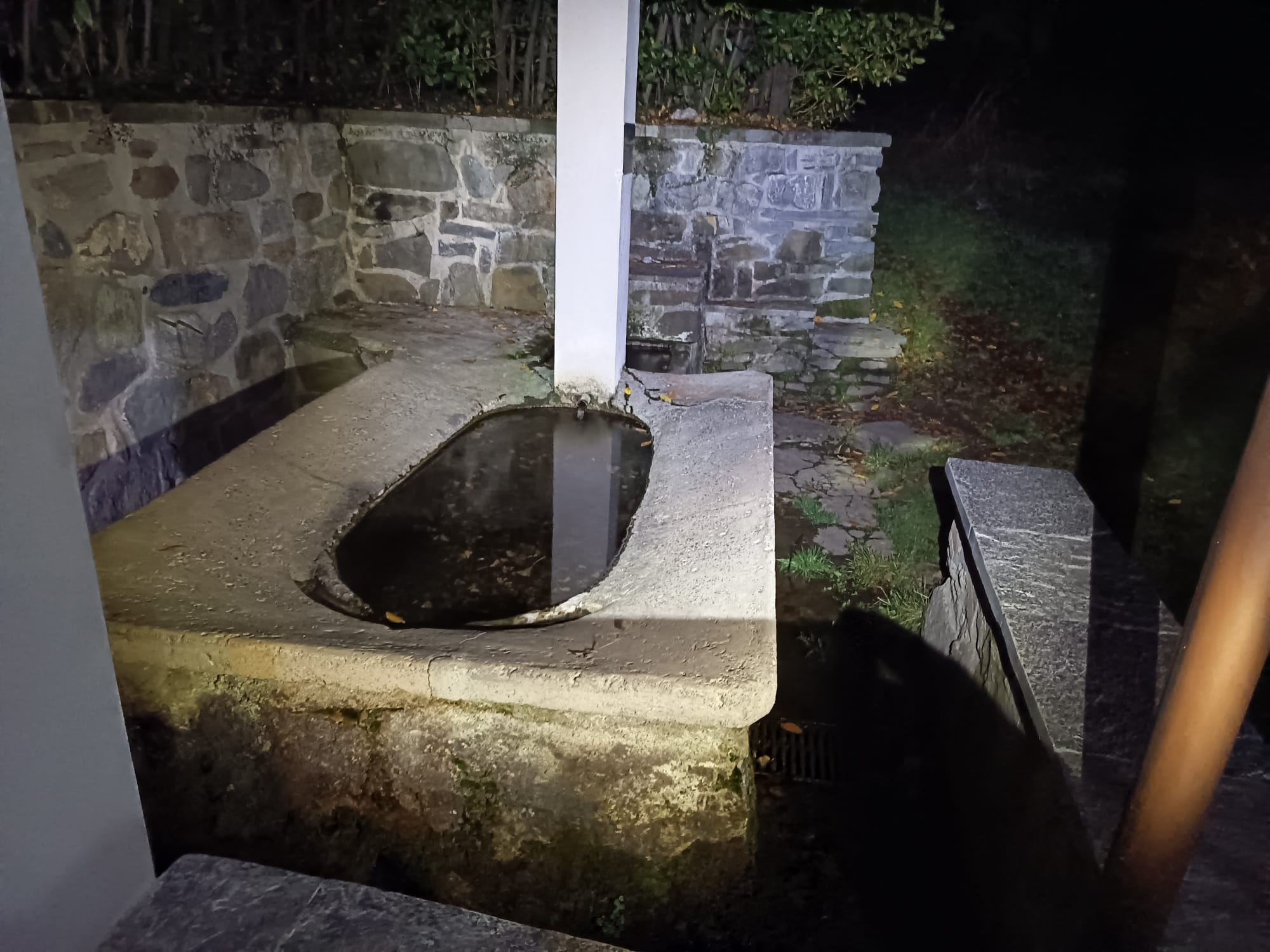 MonteBrianzaTrekking2.jpg (260 KB)