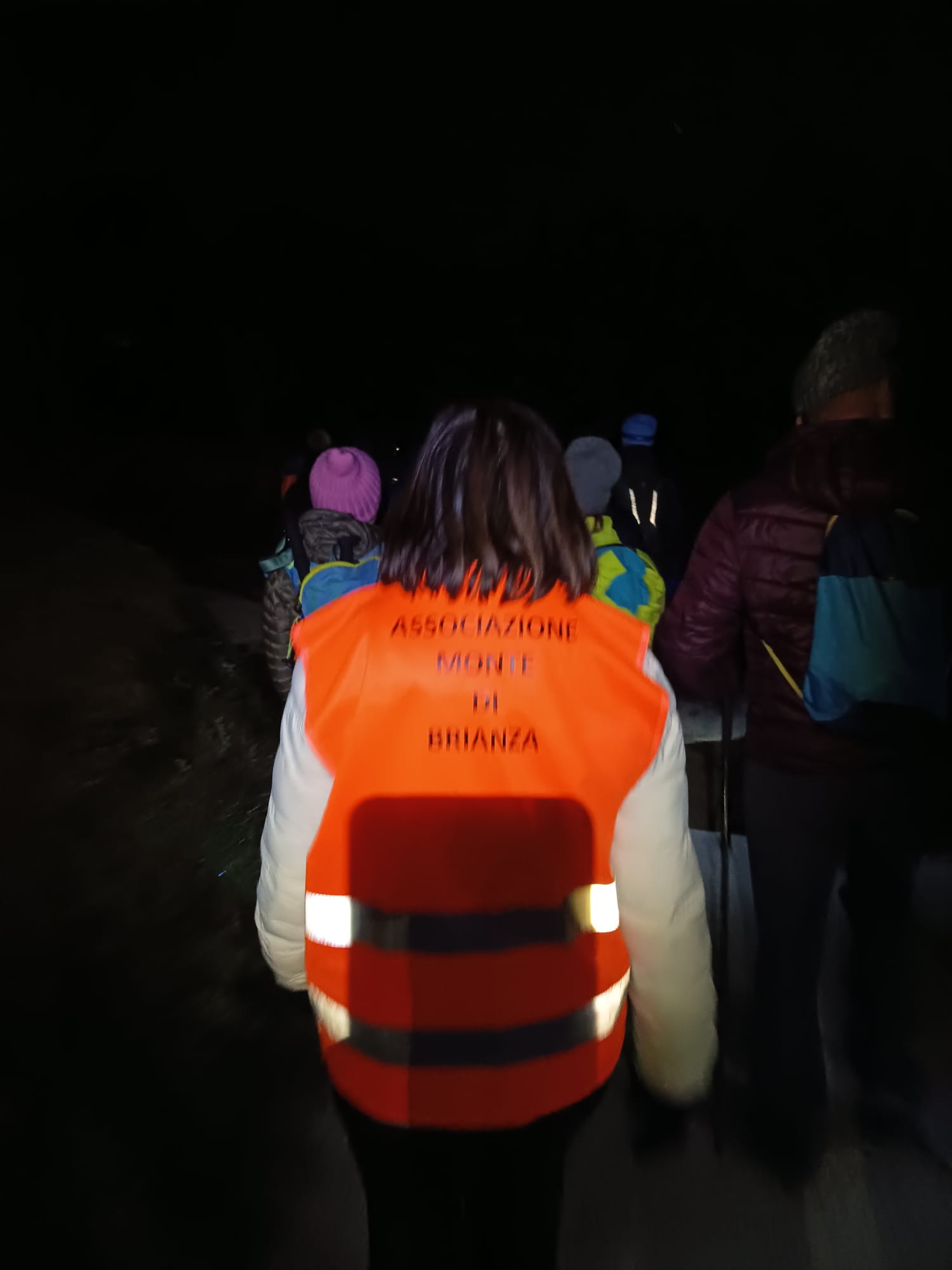 MonteBrianzaTrekking3.jpg (85 KB)