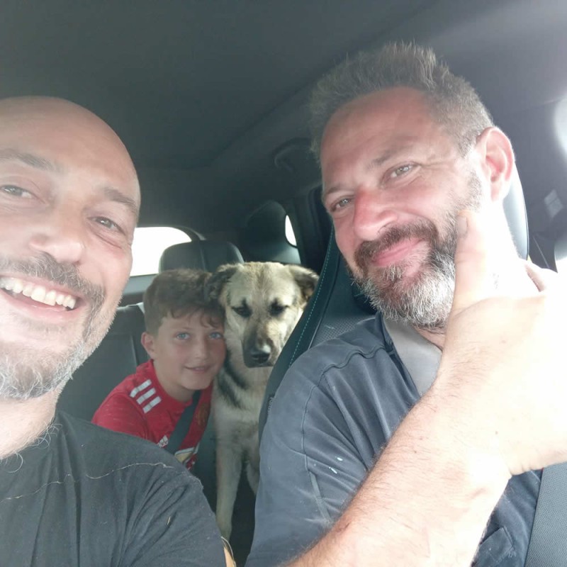 PadernoSalvataggioCane.jpg (96 KB)