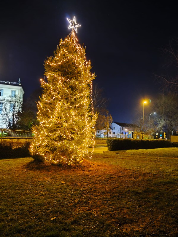 verderio_Natale5.jpeg (143 KB)