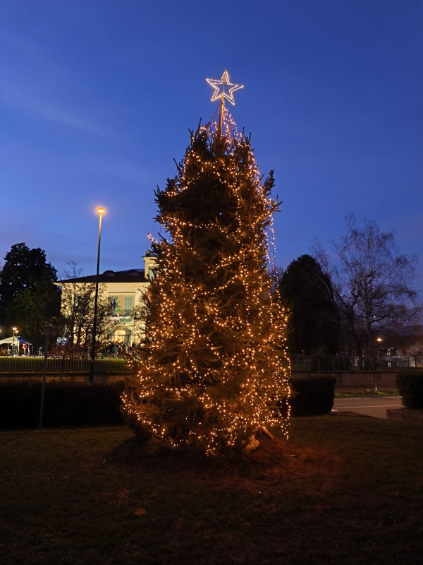 verderio_Natale6.jpeg (97 KB)