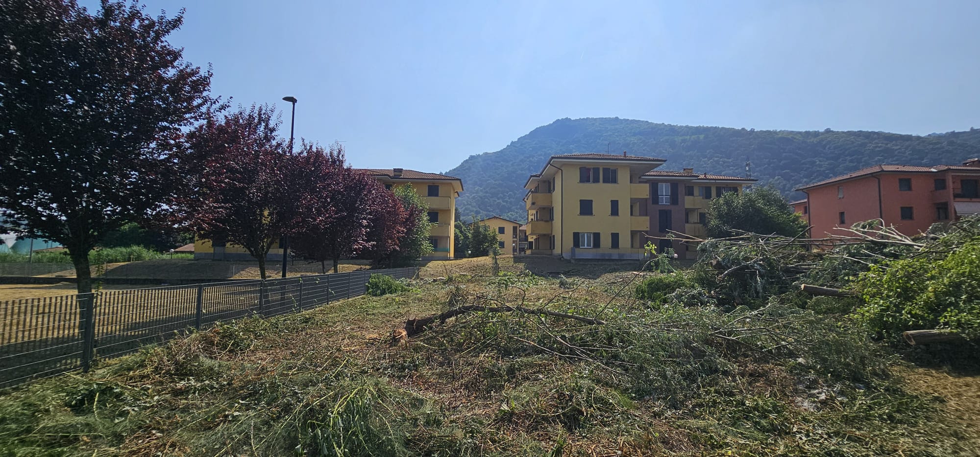 Airuno_pulizia_area_aler2.jpeg (398 KB)