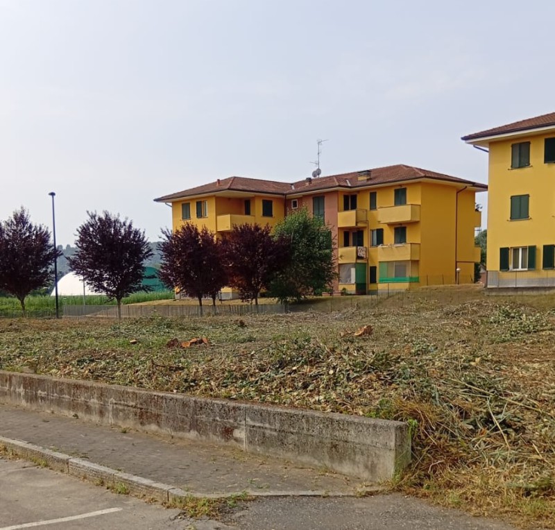 Airuno_pulizia_area_aler44jpeg.jpeg (149 KB)