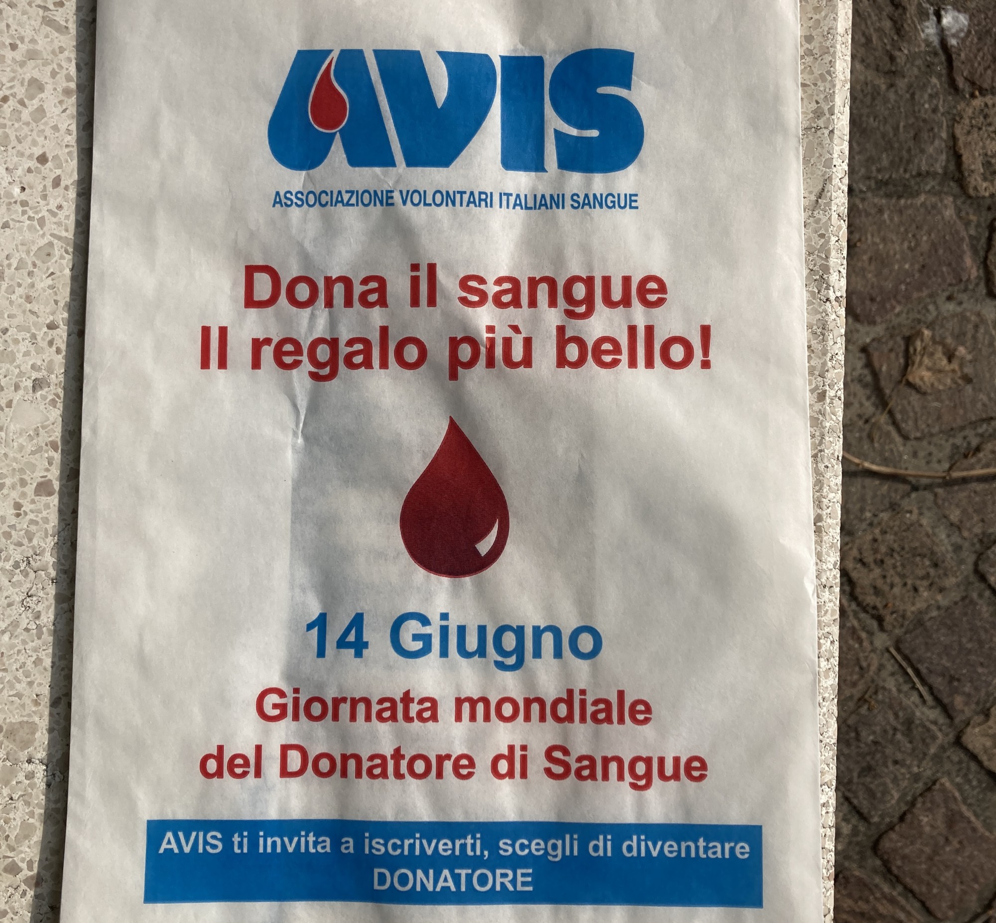 Brivio_giornata_donatore1.JPG (698 KB)