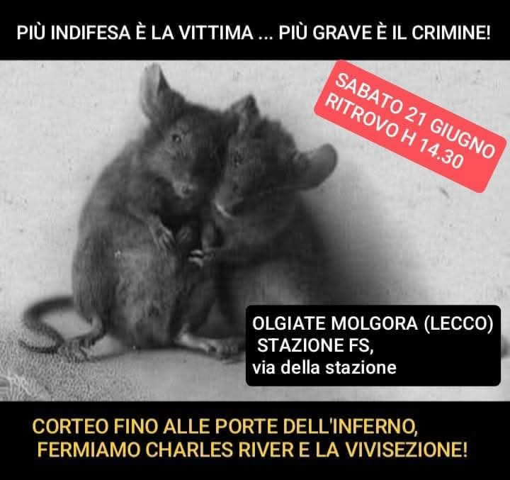 CharlesRiverManifestazione.jpg (45 KB)
