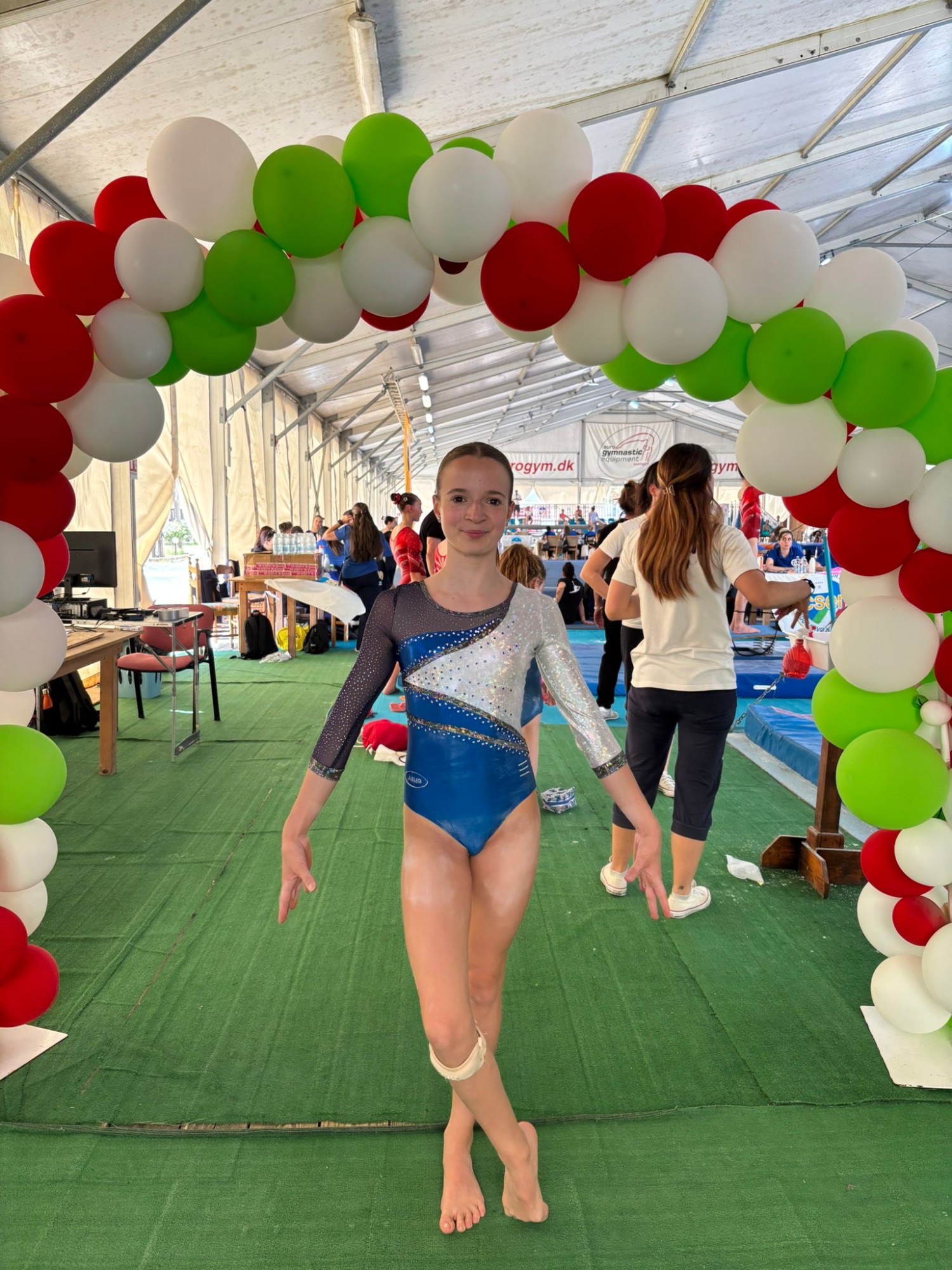 GareAtleticaGym__4_.jpeg (599 KB)